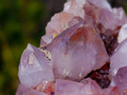 Natural Spirit Amethyst Clusters x 6 From Boekenhouthoek, South Africa - Toprock Gemstones and Minerals 