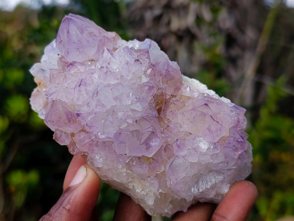 Natural Spirit Amethyst Clusters x 6 From Boekenhouthoek, South Africa - Toprock Gemstones and Minerals 