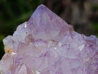 Natural Spirit Amethyst Clusters x 6 From Boekenhouthoek, South Africa - Toprock Gemstones and Minerals 