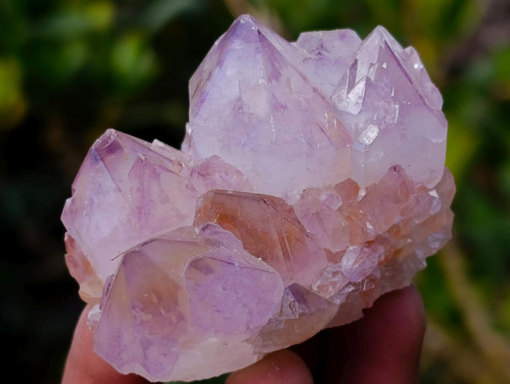 Natural Spirit Amethyst Clusters x 6 From Boekenhouthoek, South Africa - Toprock Gemstones and Minerals 