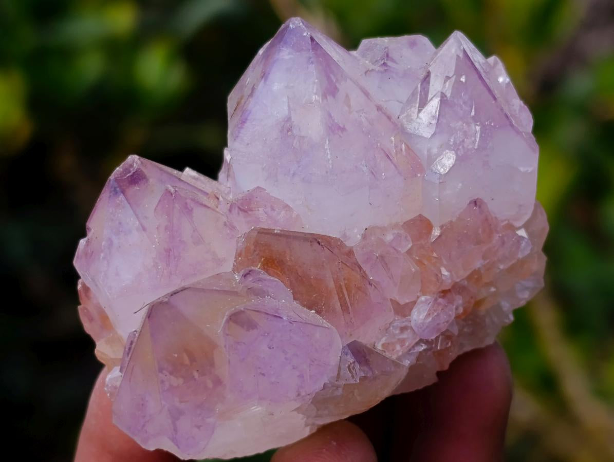 Natural Spirit Amethyst Clusters x 6 From Boekenhouthoek, South Africa - Toprock Gemstones and Minerals 