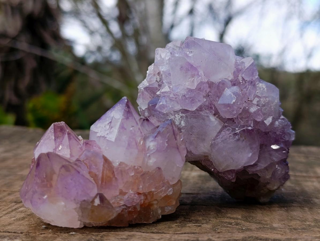 Natural Spirit Amethyst Clusters x 6 From Boekenhouthoek, South Africa - Toprock Gemstones and Minerals 