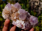 Natural Spirit Amethyst Clusters x 6 From Boekenhouthoek, South Africa - Toprock Gemstones and Minerals 