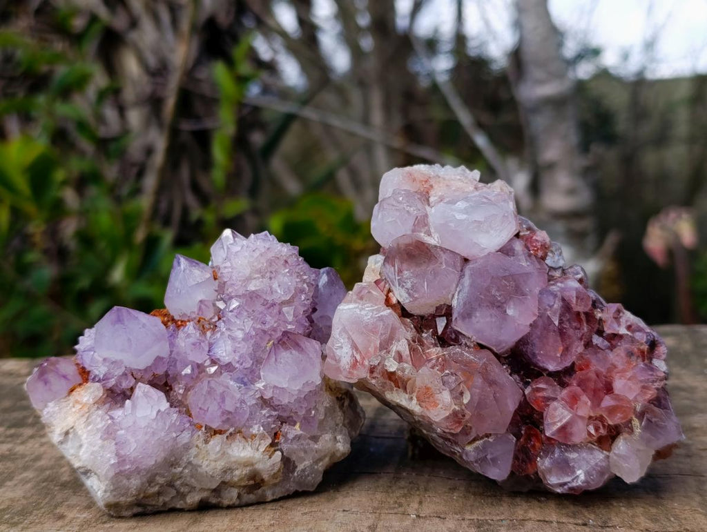 Natural Spirit Amethyst Clusters x 6 From Boekenhouthoek, South Africa - Toprock Gemstones and Minerals 
