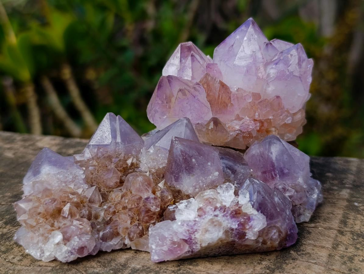 Natural Spirit Amethyst Clusters x 6 From Boekenhouthoek, South Africa - Toprock Gemstones and Minerals 