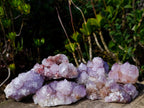 Natural Spirit Amethyst Clusters x 6 From Boekenhouthoek, South Africa - Toprock Gemstones and Minerals 