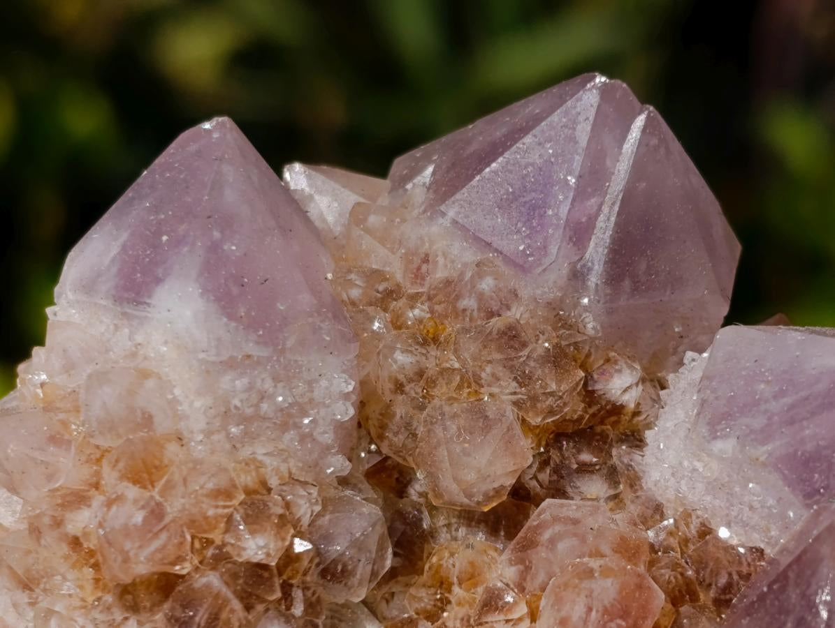 Natural Spirit Amethyst Clusters x 6 From Boekenhouthoek, South Africa - Toprock Gemstones and Minerals 