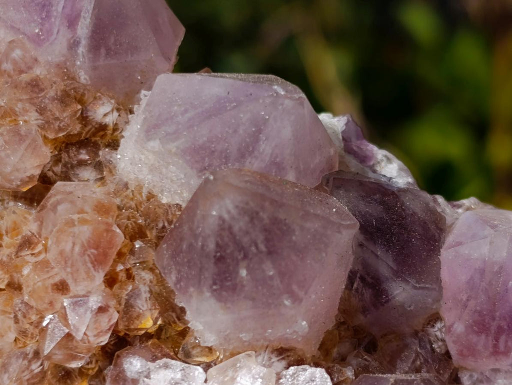 Natural Spirit Amethyst Clusters x 6 From Boekenhouthoek, South Africa - Toprock Gemstones and Minerals 
