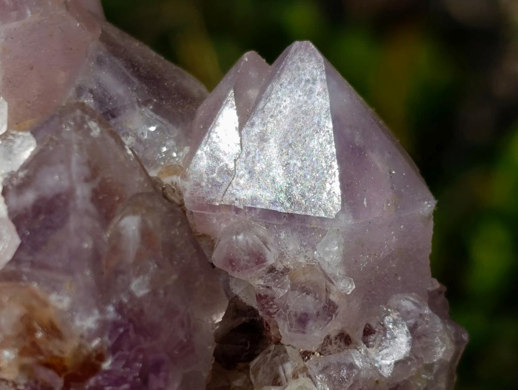 Natural Spirit Amethyst Clusters x 6 From Boekenhouthoek, South Africa - Toprock Gemstones and Minerals 