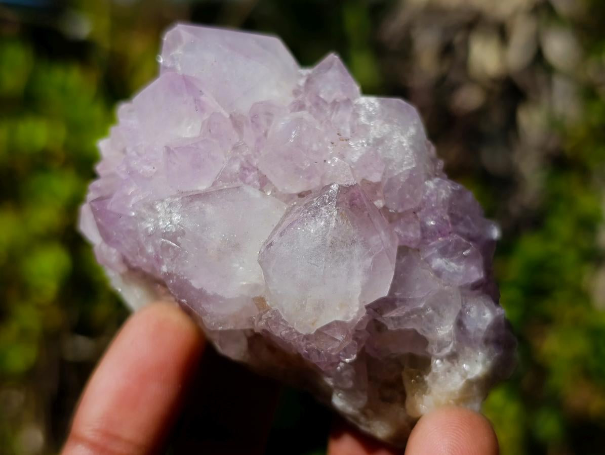Natural Spirit Amethyst Clusters x 6 From Boekenhouthoek, South Africa - Toprock Gemstones and Minerals 