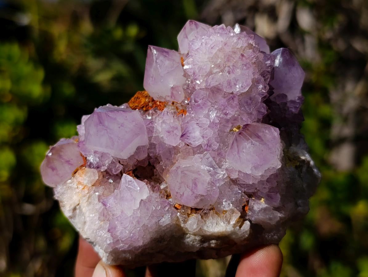 Natural Spirit Amethyst Clusters x 6 From Boekenhouthoek, South Africa - Toprock Gemstones and Minerals 