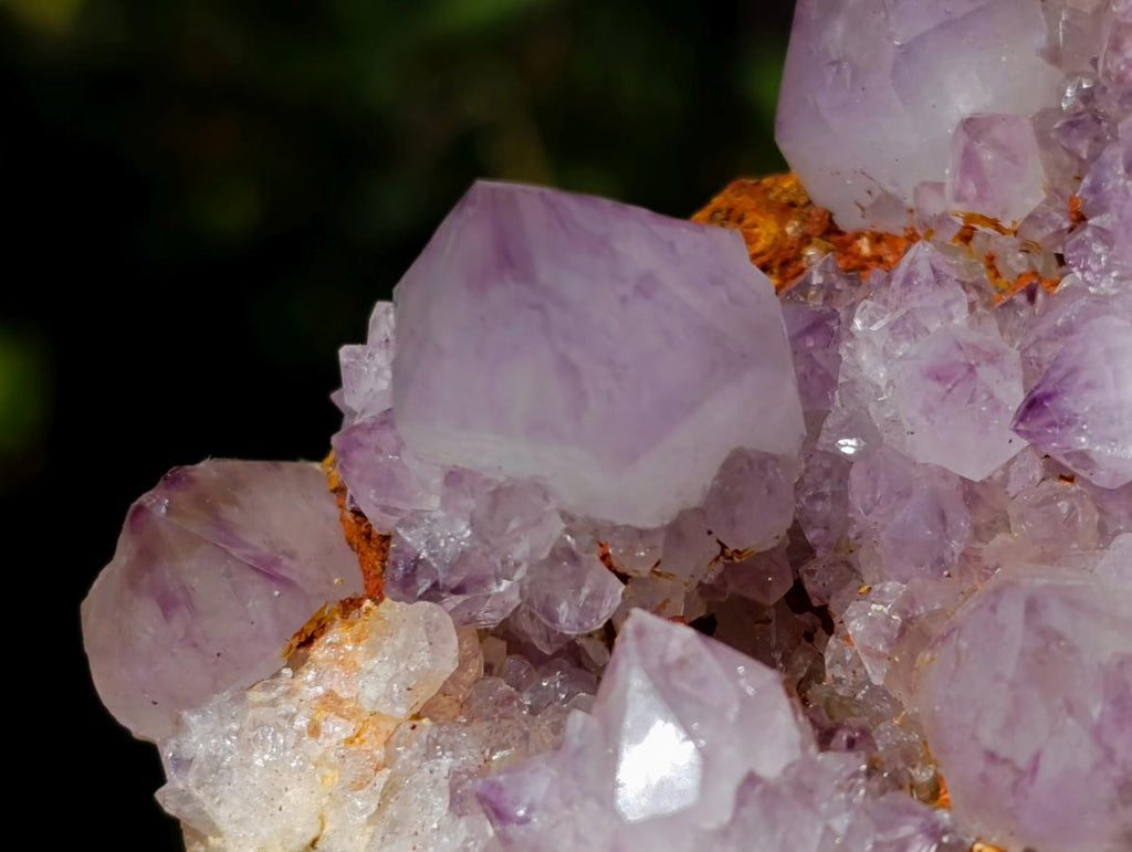 Natural Spirit Amethyst Clusters x 6 From Boekenhouthoek, South Africa - Toprock Gemstones and Minerals 