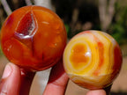 Polished and Natural Carnelian Agate Gemstone Spheres x 12 From Madagascar - Toprock Gemstones and Minerals 