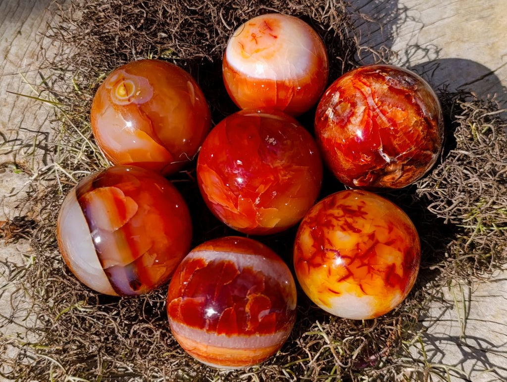 Polished and Natural Carnelian Agate Gemstone Spheres x 12 From Madagascar - Toprock Gemstones and Minerals 