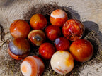 Polished and Natural Carnelian Agate Gemstone Spheres x 12 From Madagascar - Toprock Gemstones and Minerals 