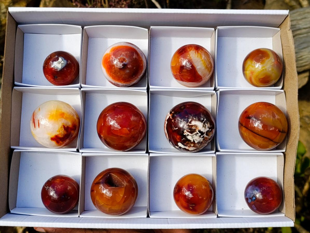 Polished and Natural Carnelian Agate Gemstone Spheres x 12 From Madagascar - Toprock Gemstones and Minerals 