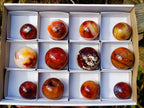 Polished and Natural Carnelian Agate Gemstone Spheres x 12 From Madagascar - Toprock Gemstones and Minerals 