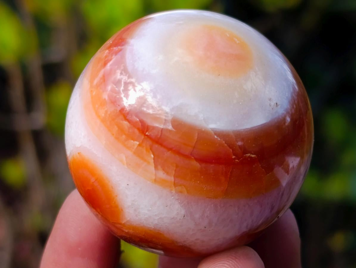 Polished and Natural Carnelian Agate Gemstone Spheres x 12 From Madagascar - Toprock Gemstones and Minerals 