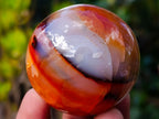 Polished and Natural Carnelian Agate Gemstone Spheres x 12 From Madagascar - Toprock Gemstones and Minerals 