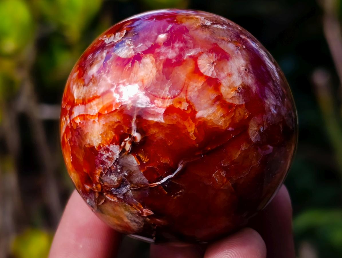 Polished and Natural Carnelian Agate Gemstone Spheres x 12 From Madagascar - Toprock Gemstones and Minerals 