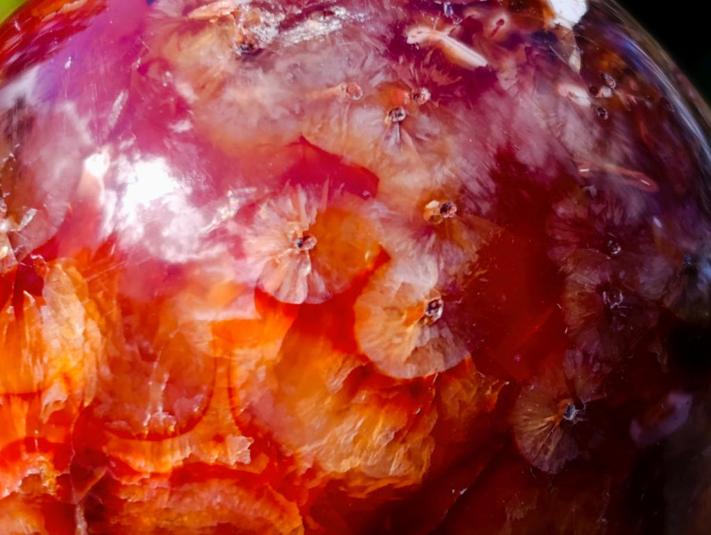 Polished and Natural Carnelian Agate Gemstone Spheres x 12 From Madagascar - Toprock Gemstones and Minerals 