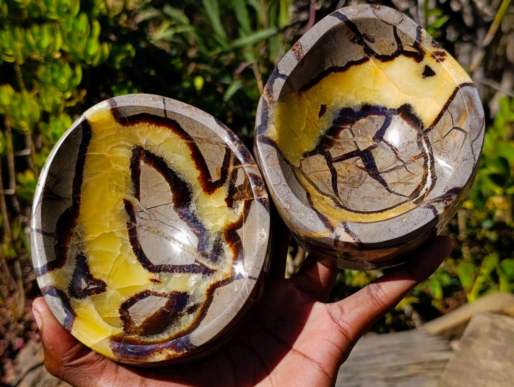 Polished Septerye Bowls x 2 From Mahajanga, Madagascar - Toprock Gemstones and Minerals 