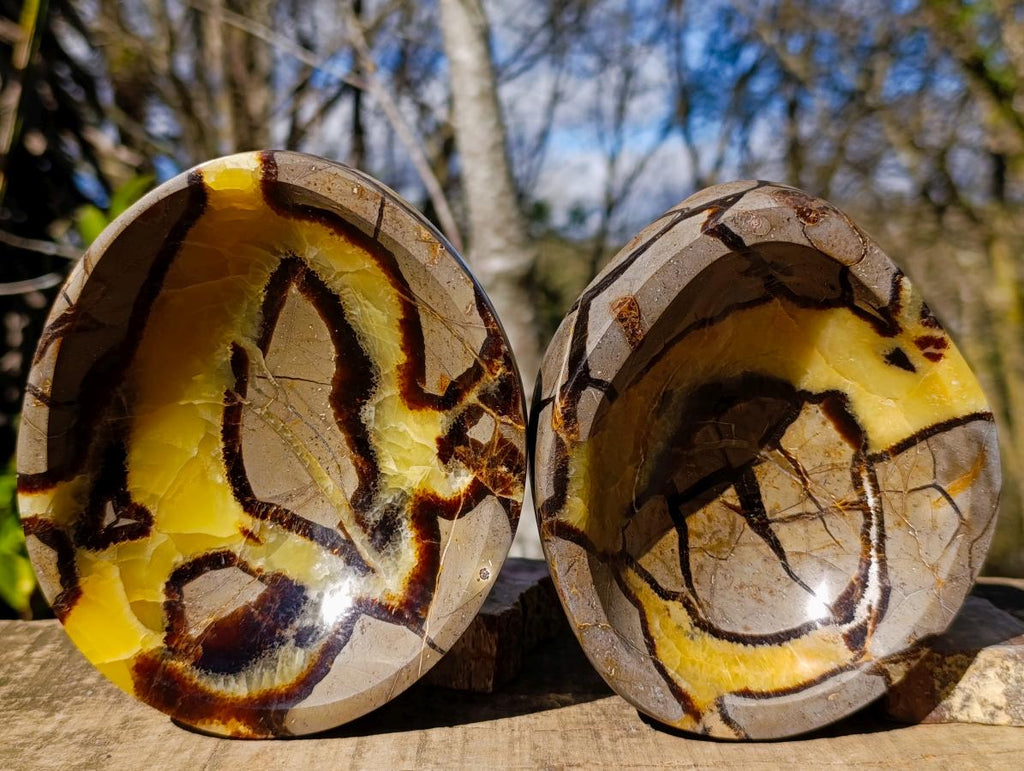 Polished Septerye Bowls x 2 From Mahajanga, Madagascar - Toprock Gemstones and Minerals 