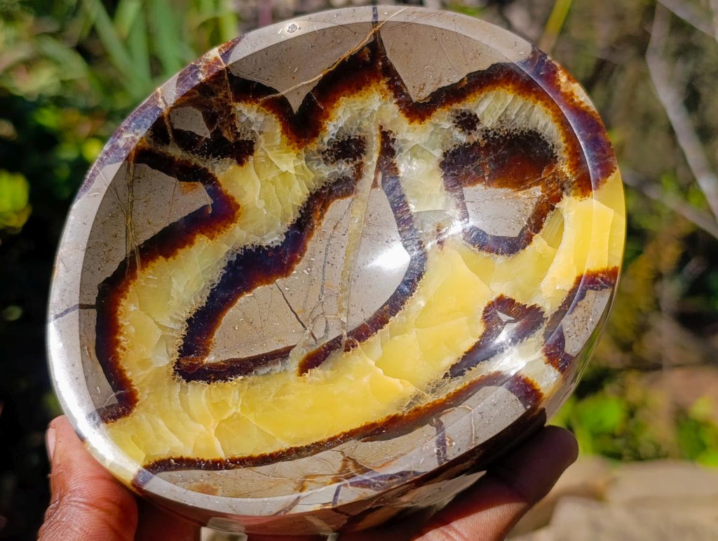 Polished Septerye Bowls x 2 From Mahajanga, Madagascar - Toprock Gemstones and Minerals 