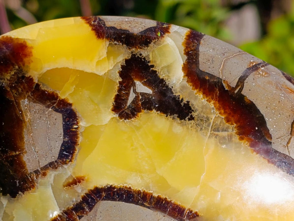 Polished Septerye Bowls x 2 From Mahajanga, Madagascar - Toprock Gemstones and Minerals 