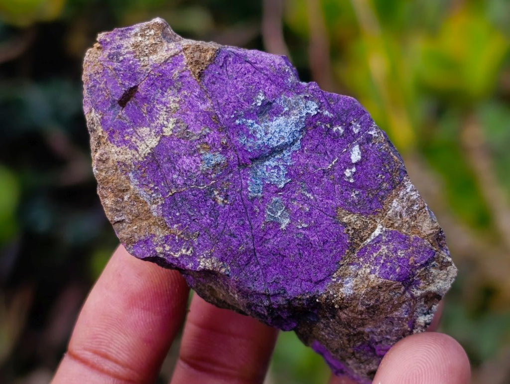 Natural Metallic Cobbed Purpurite Specimens x 20 From Erongo, Namibia - Toprock Gemstones and Minerals 
