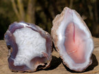 Polished One Side Banded Shashe River Agate Nodules x 6 From Zimbabwe - Toprock Gemstones and Minerals 