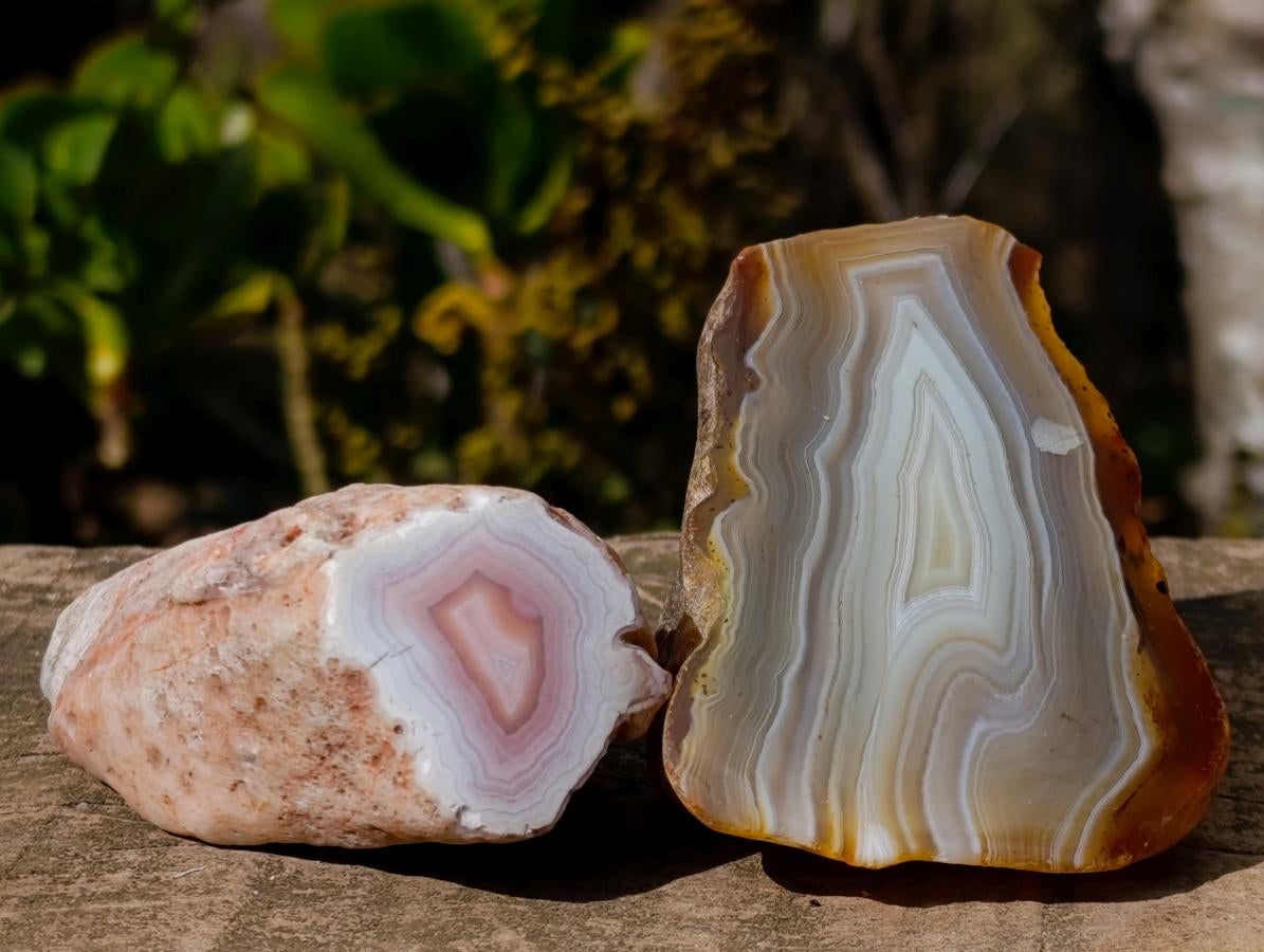 Polished One Side Banded Shashe River Agate Nodules x 6 From Zimbabwe - Toprock Gemstones and Minerals 