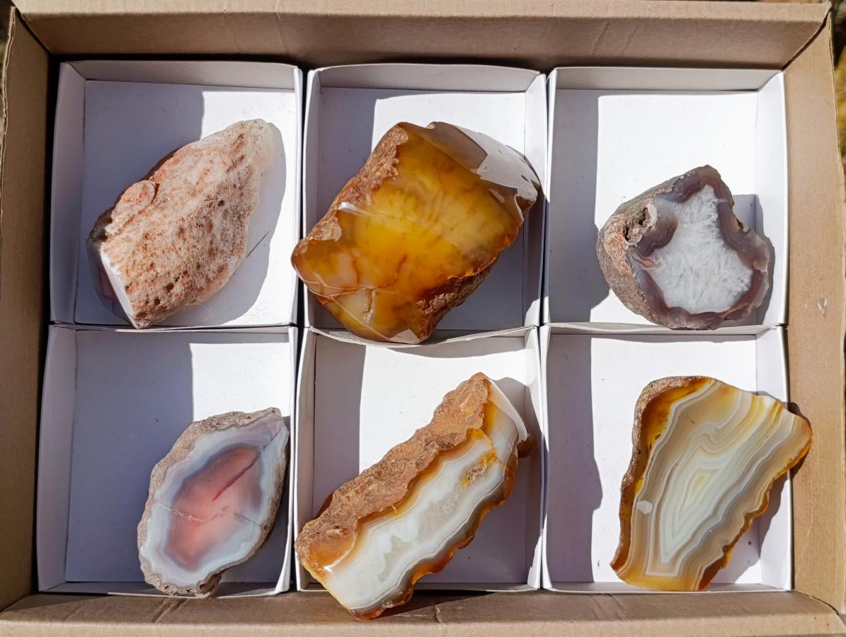 Polished One Side Banded Shashe River Agate Nodules x 6 From Zimbabwe - Toprock Gemstones and Minerals 