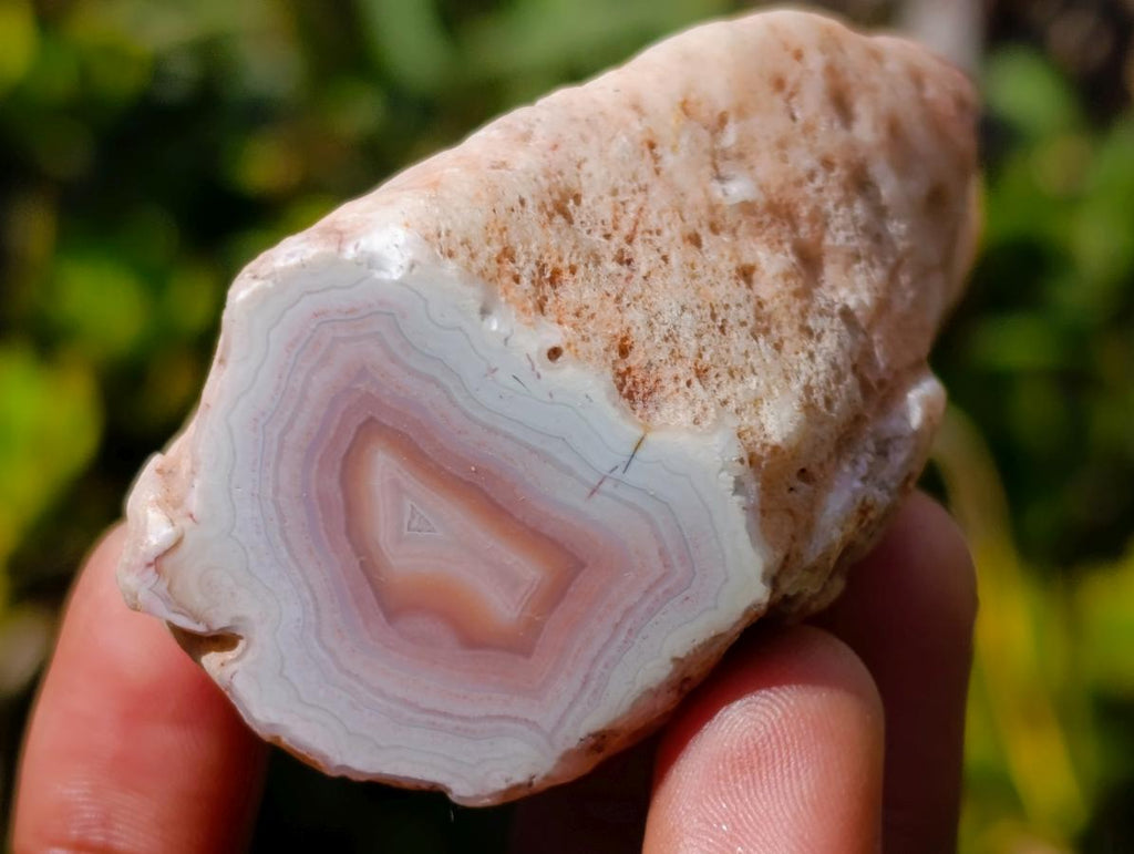 Polished One Side Banded Shashe River Agate Nodules x 6 From Zimbabwe - Toprock Gemstones and Minerals 