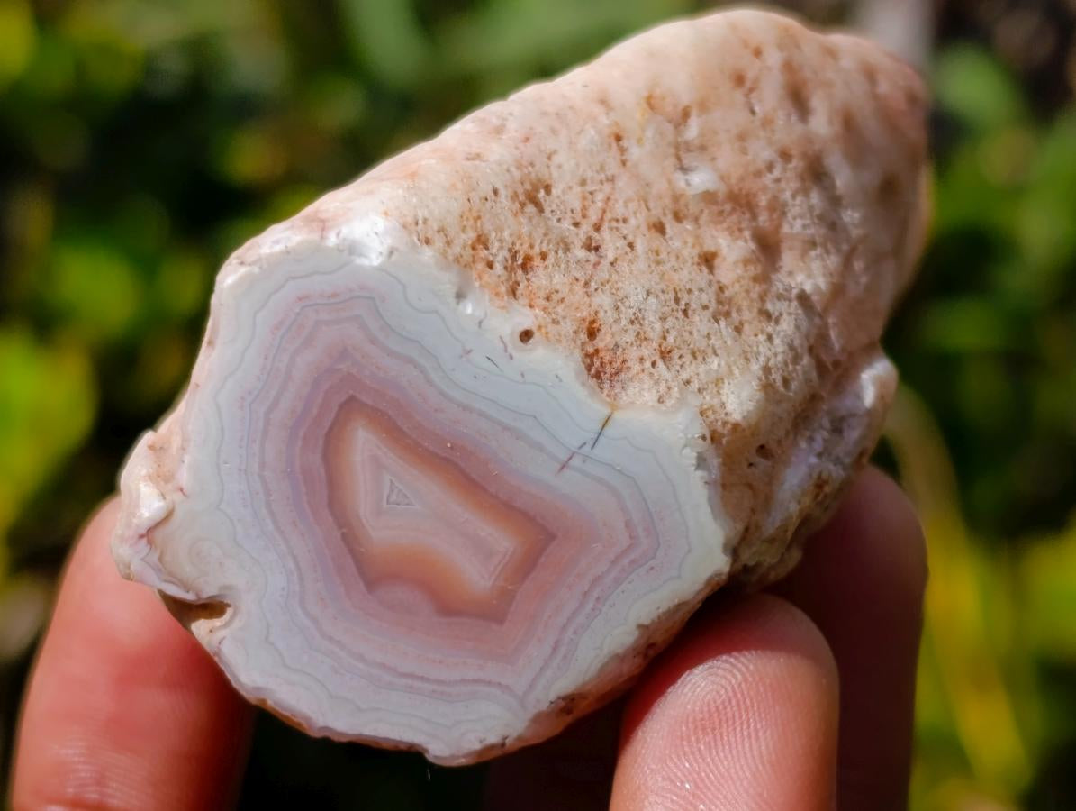 Polished One Side Banded Shashe River Agate Nodules x 6 From Zimbabwe - Toprock Gemstones and Minerals 