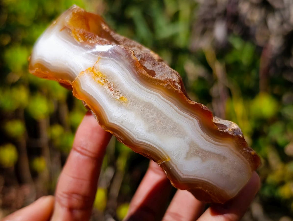 Polished One Side Banded Shashe River Agate Nodules x 6 From Zimbabwe - Toprock Gemstones and Minerals 
