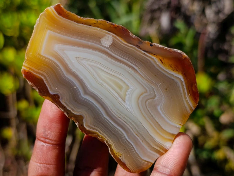 Polished One Side Banded Shashe River Agate Nodules x 6 From Zimbabwe - Toprock Gemstones and Minerals 