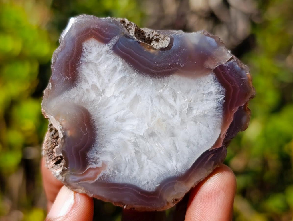 Polished One Side Banded Shashe River Agate Nodules x 6 From Zimbabwe - Toprock Gemstones and Minerals 
