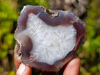 Polished One Side Banded Shashe River Agate Nodules x 6 From Zimbabwe - Toprock Gemstones and Minerals 