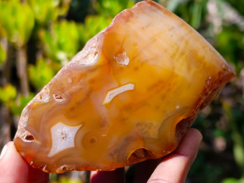Polished One Side Banded Shashe River Agate Nodules x 6 From Zimbabwe - Toprock Gemstones and Minerals 