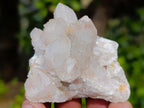 Natural Smokey Spirit Quartz Clusters with Hematoid Coating x 35 From Boekenhouthoek, South Africa - Toprock Gemstones and Minerals 