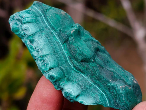 Natural Botryoidal Malachite Specimens x 12 From Congo - Toprock Gemstones and Minerals 