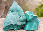 Natural Botryoidal Malachite Specimens x 12 From Congo - Toprock Gemstones and Minerals 