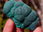 Natural Botryoidal Malachite Specimens x 12 From Congo - Toprock Gemstones and Minerals 