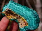 Natural Botryoidal Malachite Specimens x 12 From Congo - Toprock Gemstones and Minerals 