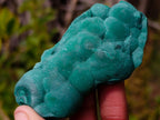 Natural Botryoidal Malachite Specimens x 12 From Congo - Toprock Gemstones and Minerals 