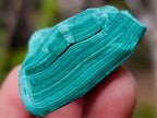 Natural Botryoidal Malachite Specimens x 12 From Congo - Toprock Gemstones and Minerals 