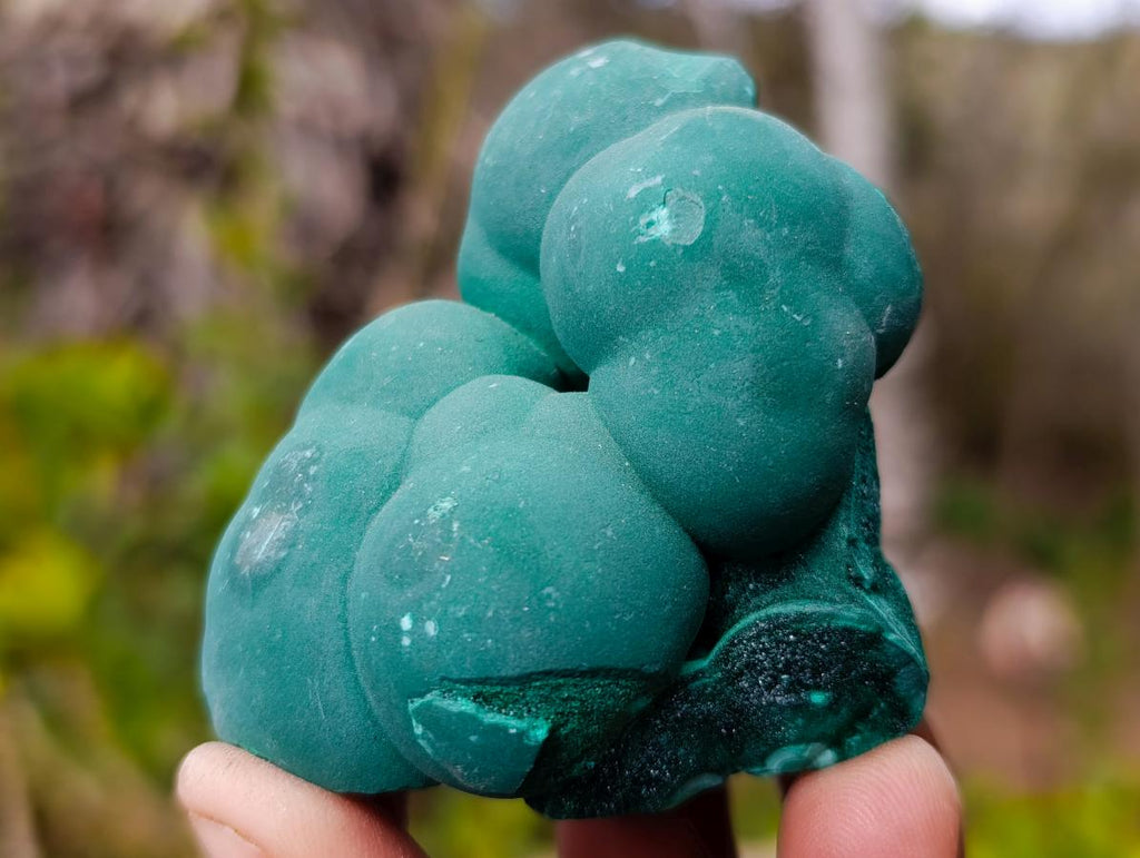 Natural Botryoidal Malachite Specimens x 12 From Congo - Toprock Gemstones and Minerals 