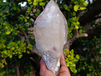 Natural Large Smokey Quartz Crystals x 2 From Mulanje, Malawi - Toprock Gemstones and Minerals 