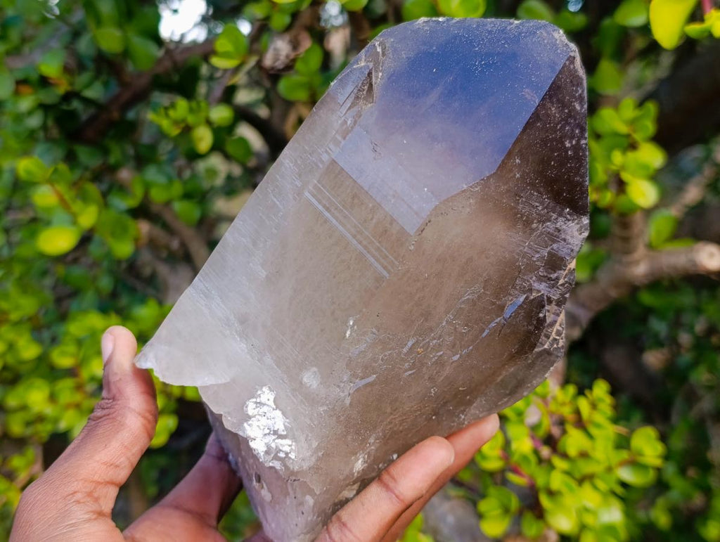 Natural Large Smokey Quartz Crystals x 2 From Mulanje, Malawi - Toprock Gemstones and Minerals 